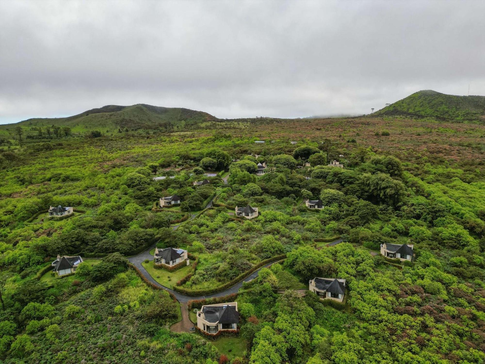 รอยัล ปาล์ม Hotel Bellavista  ภายนอก รูปภาพ