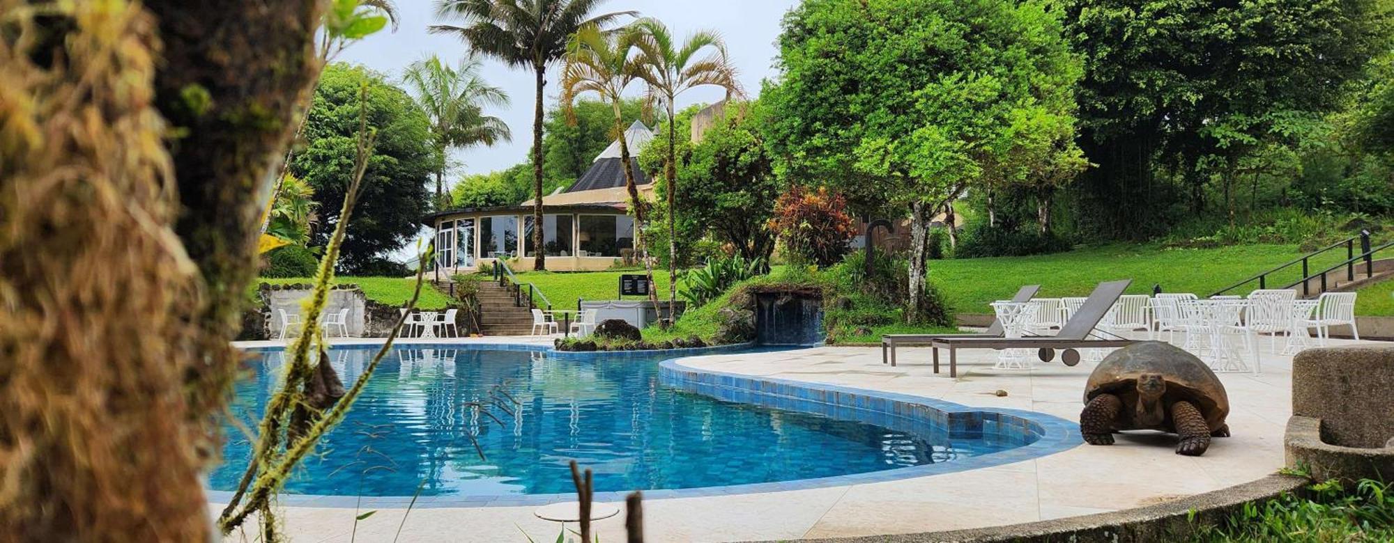 รอยัล ปาล์ม Hotel Bellavista  ภายนอก รูปภาพ